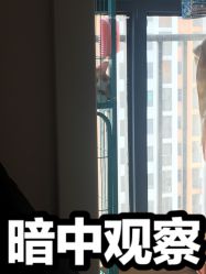点击看大图 -柯琳造型直营店