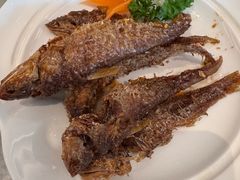 -喜来登由由大酒店九州膳坊中餐厅
