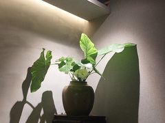 -本处·素食·融合料理(南油店)