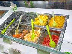 -Salud撒露欧洲冻酸奶(蓝色港湾店)