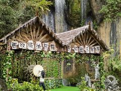 -西双版纳原始森林公园