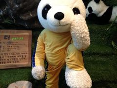 泰迪熊博物馆-济州岛泰迪熊博物馆