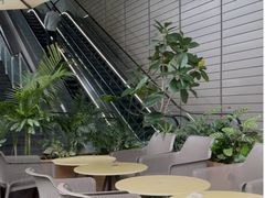 -tea'stone (万象天地店)