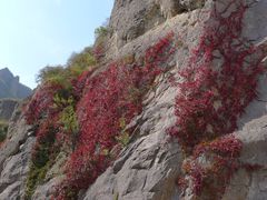 -乌龙峡谷景区