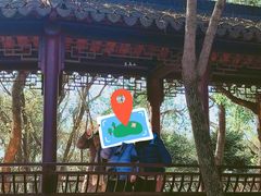 -上海佘山国家森林公园天马山园