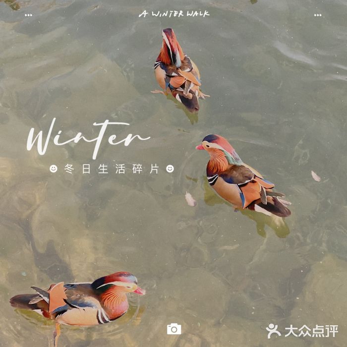 前门大街图片