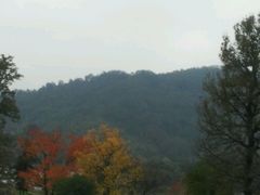 -塔川景区