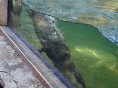 -宁波野生动物园