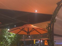 -鼎原力量东北吊炉烧烤(临河街店)