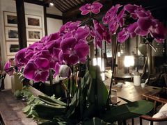 -花迹·金陵南京菜(老门东店)