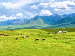 -新疆那拉提国家旅游度假区