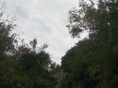 -北京鹫峰国家森林公园