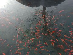 -水磨沟公园