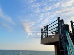 -广东惠东海龟国家级自然保护区