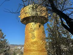 -藏味八珍特色火锅