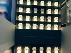 -line friends(明洞旗舰店)