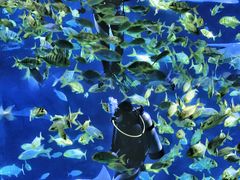 -太平洋海底世界