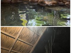 -深业半汤御泉庄温泉