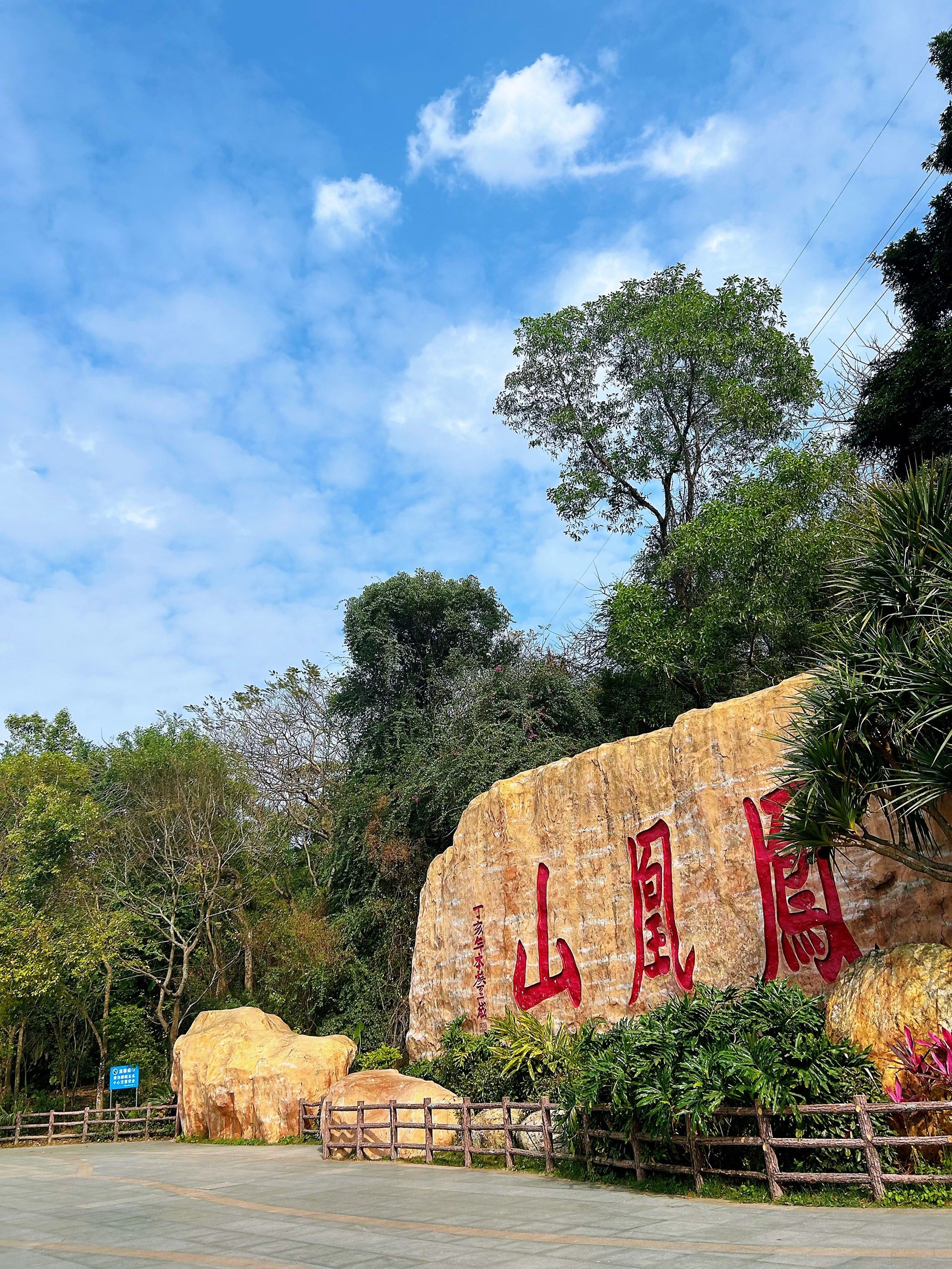 打卡凤凰山 深圳搞钱女孩必须得来!
