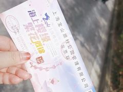 -顾村公园
