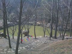 android_upload_pic-蒙山大佛景区