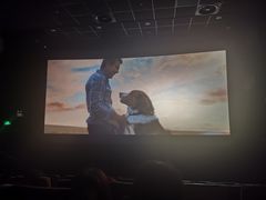 -百美汇影城(LUXE嘉里中心店)