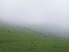 -大姆山草场