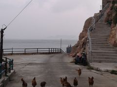 -东极岛景区
