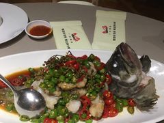 麻滑石斑鱼-尚一汤·粤菜海鲜(环球港店)