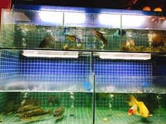 -迎晨餐厅(青芝坞店)