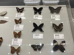 -四川大学博物馆