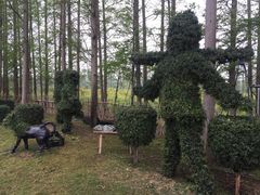 -上海长兴岛郊野公园