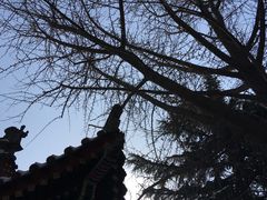 -鲜果时间·果蔬茶(赛格负二层店)