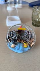 -禧月荟S月子中心(侨城店)