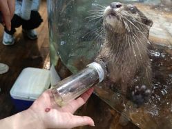 -Zoolung Zoolung动物主题公园(海信广场店)