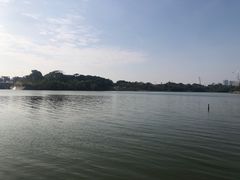 -华侨城湿地公园