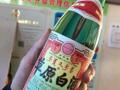 -乌兰布统草原