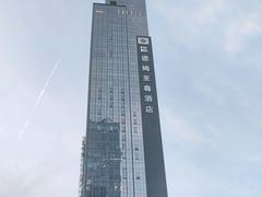 -深圳温德姆至尊酒店·大堂吧·户外花园