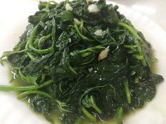 薯叶-阿水土鸡(远光店)