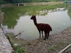 -北京鹿世界主题园
