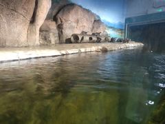 -临沂极地海洋王国