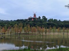 -东莞植物园
