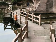 -蛇蟠岛