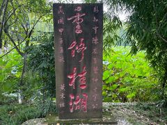 -桂湖森林公园