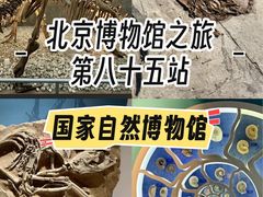 -国家自然博物馆