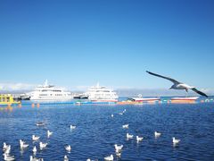 -青海湖国家重点风景名胜区