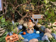 -郑州银基黄帝宫御温泉