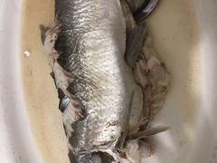 -小北江河鲜(新城店)