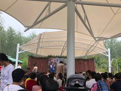 -合肥滨湖国家森林公园