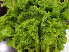 -百味源炭火烤翅 ·夜市大排档(酒仙桥店)